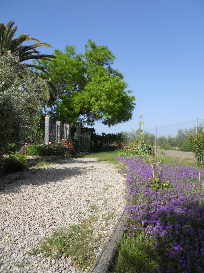 La Aragonesa Guest House Marmolejo Bagian luar foto